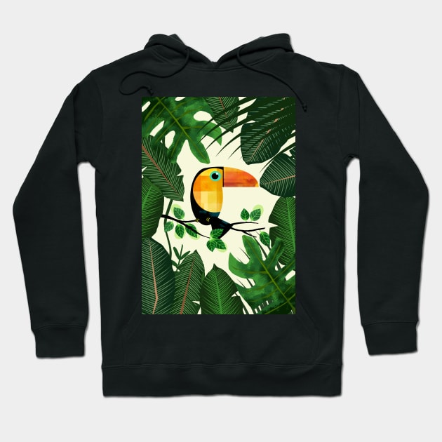 Toucan Hoodie by Scratch